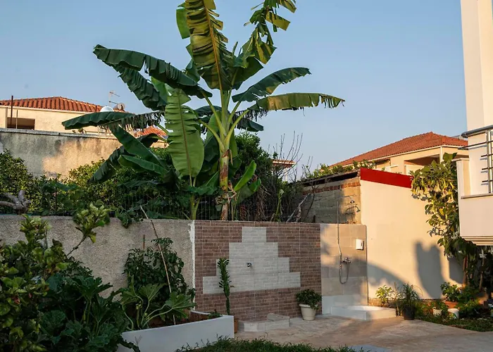 Ada\'S House