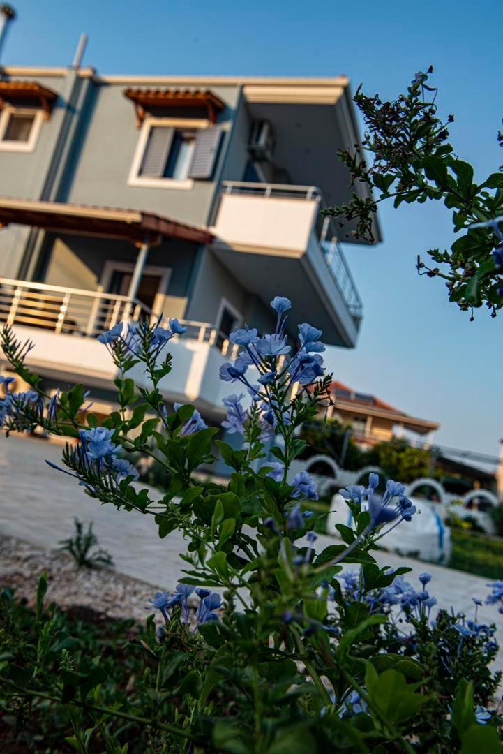 Ada's House Apartment